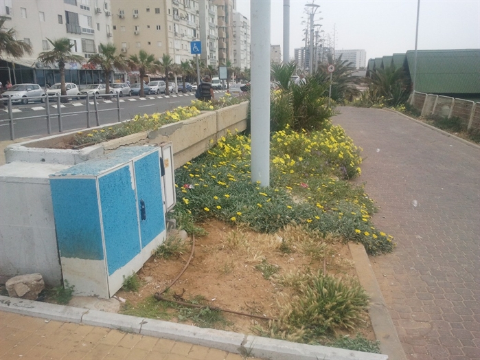 טיילת - לפני 